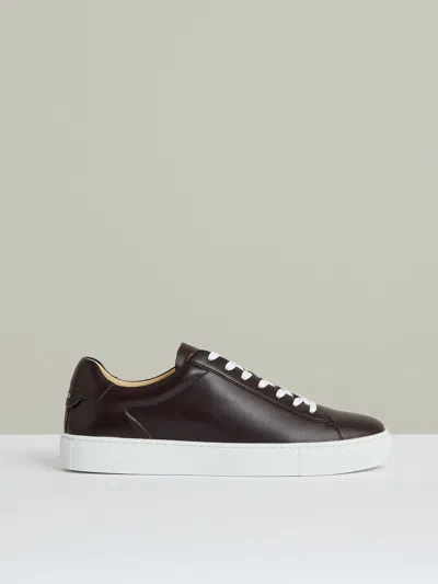 Reiss Plum Purple Leather Low-top Trainers