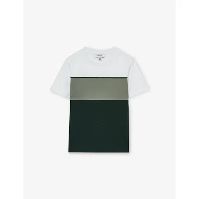 Reiss Kids' Cole Short-sleeve Cotton T-shirt 3-9 In Sage Multi
