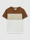 Reiss Tobacco Brown Multi 13-14 Yrs Cotton Colour-block Piped T-shirt