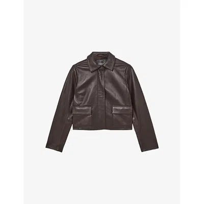 Reiss Womens Chocolate Brown Drew Classic-collar Leather Jacket
