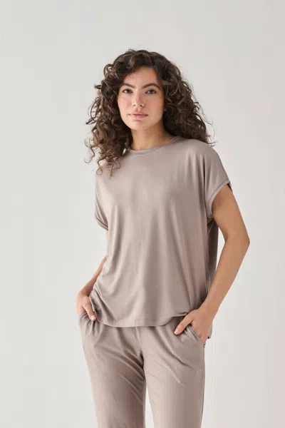 Reistor Relaxed Tee In Earth Grey In Brown