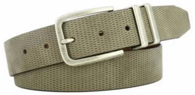 Remo Tulliani Men's Axel Belt In Cappucino In Multi