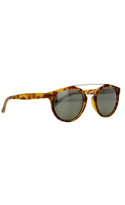 Remo Tulliani Women's Trust Sunglasses In Caramel Tortoise/ash Lens In Brown