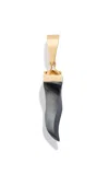 Renato Cipullo Cornicello 18k Yellow Gold Hematite Pendant In Black
