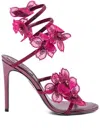 René Caovilla 105mm Floriane Sandals In Pink