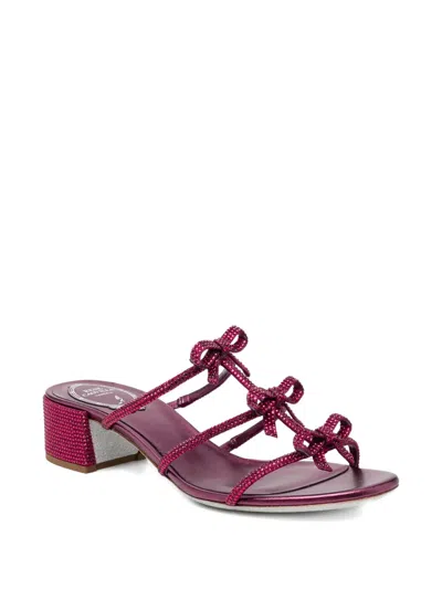 René Caovilla 40mm Crystal-embellished Ribbon Heeled Sandals In Purple
