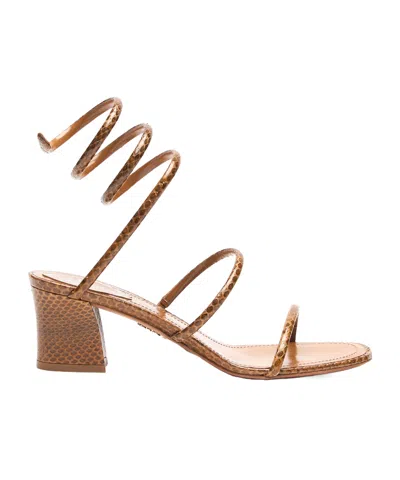 René Caovilla 55mm Cleo Sandals In Brown