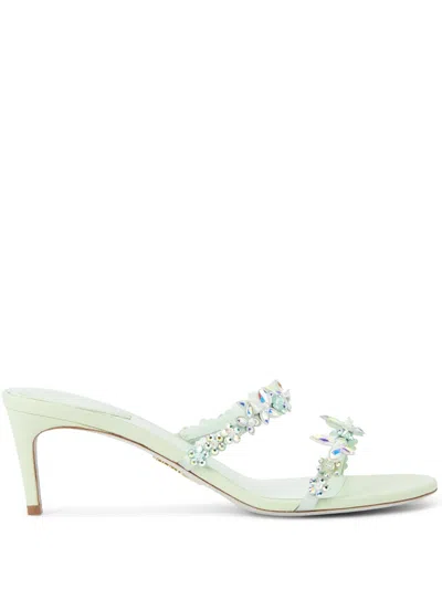 René Caovilla 80mm Cleo Mules In Green