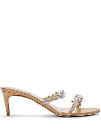 René Caovilla 80mm Cleo Mules In Brown