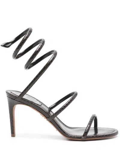 René Caovilla 80mm Cleo Sandals In Brown