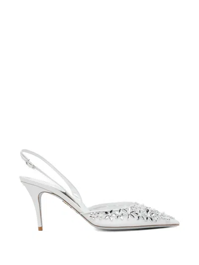 René Caovilla 80mm Crystal-embellished Pumps In Animal Print