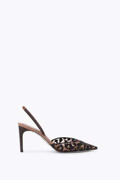 René Caovilla 80mm Allura Crystal-embellished Pumps In Black