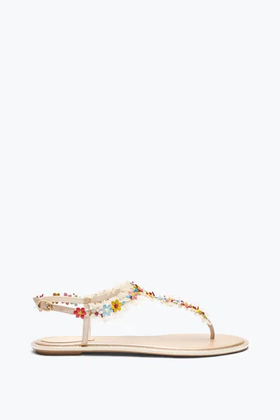 René Caovilla Bloom Nude Flat Sandal 10 In Brown