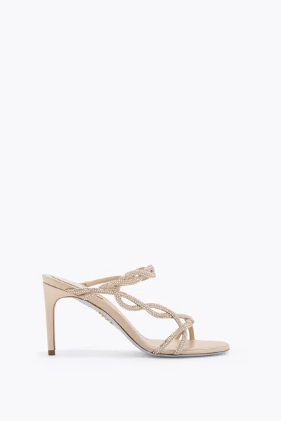 René Caovilla Braid Champagne Mule 80 In Gold