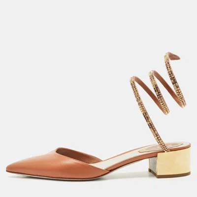 René Caovilla Brown Leather Crystal Embellished Ankle Wrap Pumps In Neutral