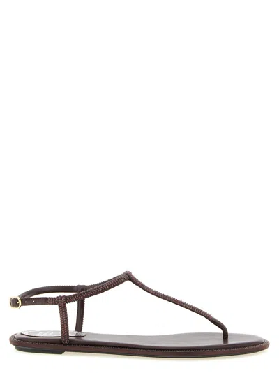 René Caovilla Brown Open Round Toe Sandals In Black