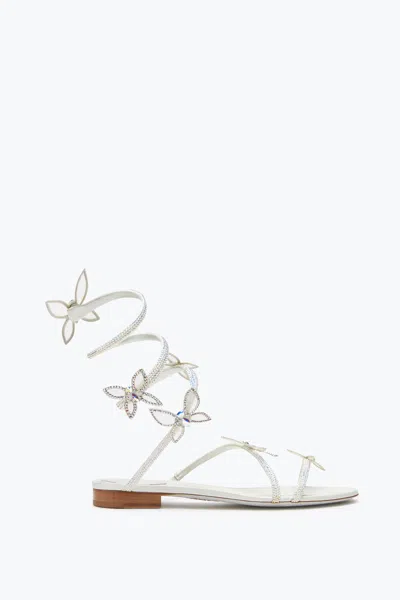 René Caovilla Butterflower Crystal Ivory Sandal 10