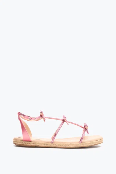 René Caovilla Caterina Candy Pink Flatform Sandal 10