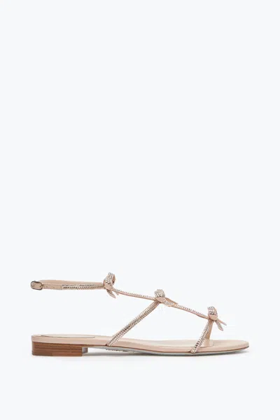 René Caovilla Caterina Nude Flat Sandal 10