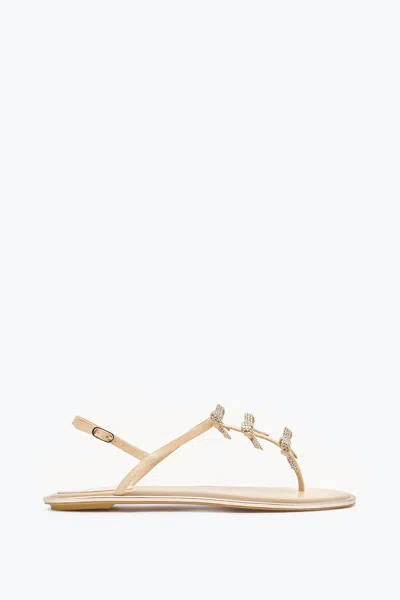 René Caovilla Caterina Nude Thong Sandal 10