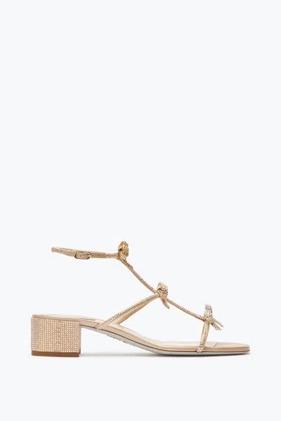 René Caovilla Caterina Sandal 35
