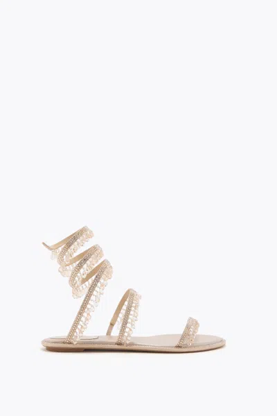 René Caovilla Chandelier Gold Flat Sandal 10 In Brown