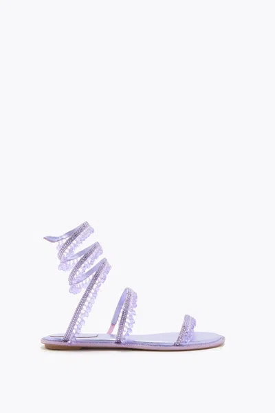 René Caovilla Chandelier Metallic Violet Flat Sandal 10 In White