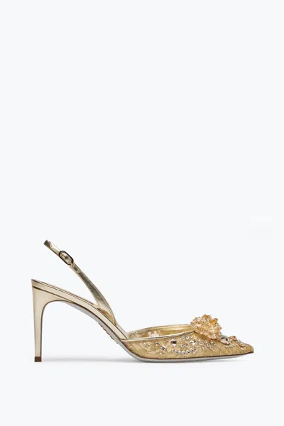 René Caovilla Cinderella Golden Slingback 80
