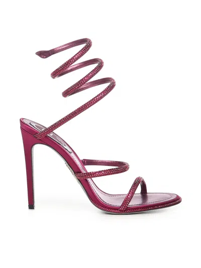 René Caovilla Cleo 105 Sandals In Purple