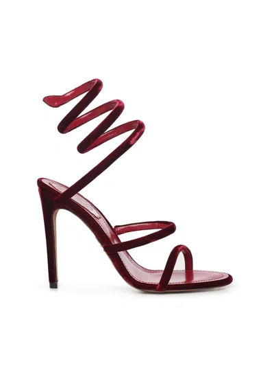 René Caovilla Cleo 105 Velvet Sandals In Purple