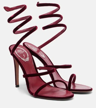 René Caovilla Spiral Design Velvet Heels With Ankle Wrap In Burgundy