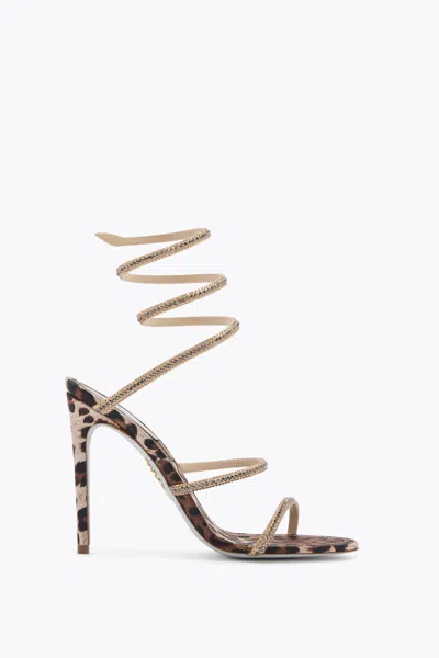 René Caovilla Cleo Animalier Sandal 105