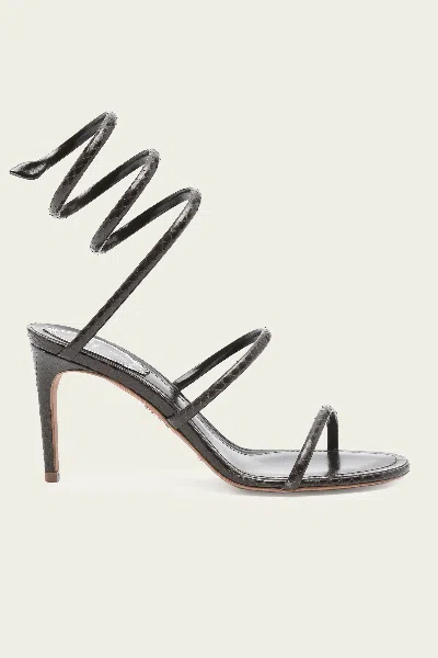 RENÉ CAOVILLA CLEO AYERS LEATHER SANDAL 80 IN BROWN