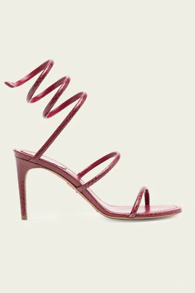René Caovilla Cleo Ayers Leather Sandal 80 In Burgundy