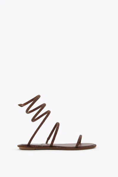 René Caovilla Cleo Brown Flat Sandal 10