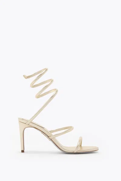 René Caovilla Cleo Butter Sandal 80 In Neutral