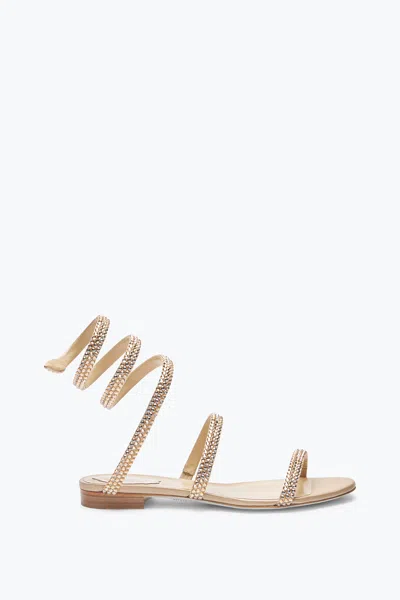 René Caovilla Cleo Champagne Flat Sandal With Crystals 10