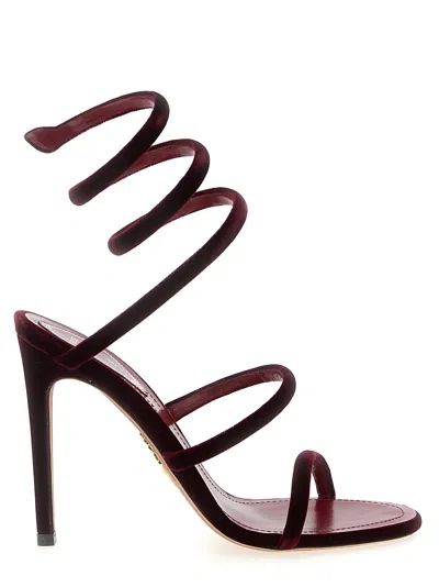 René Caovilla Cleo Heel Sandal In Multi