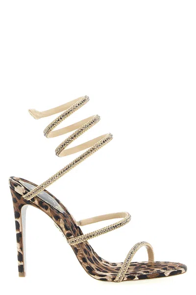René Caovilla 'cleo Leopard' Sandals In Multi