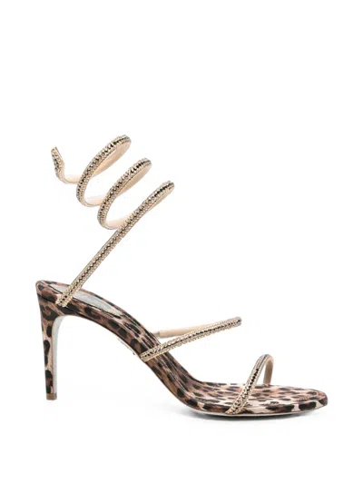 René Caovilla Cleo Leopard-print Sandals In Brown