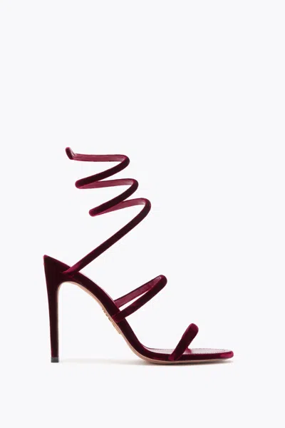 René Caovilla Cleo Rubino Velvet Sandal