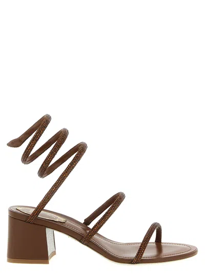 René Caovilla Cleo Sandal In Brown
