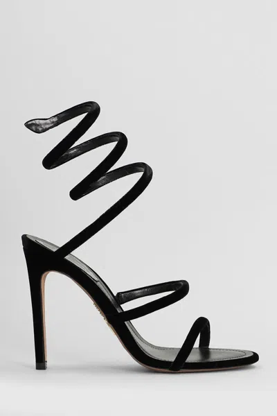 René Caovilla Cleo  Sandals In Black