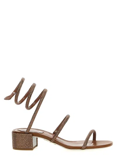 René Caovilla 'cleo' Sandals In Brown