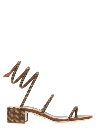 René Caovilla Cleo Sandals In Brown