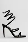 René Caovilla Flat Sandals Rene Caovilla Woman Color Black In Black