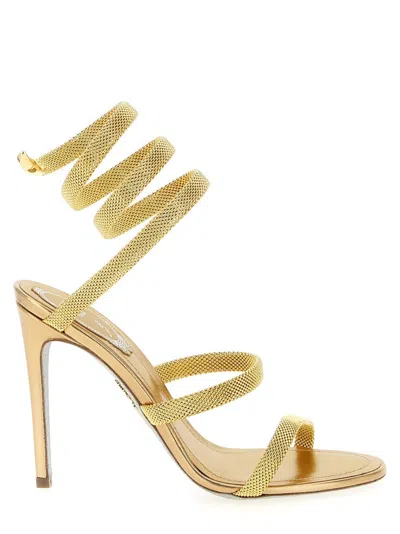 René Caovilla 'cleo' Sandals In Multi