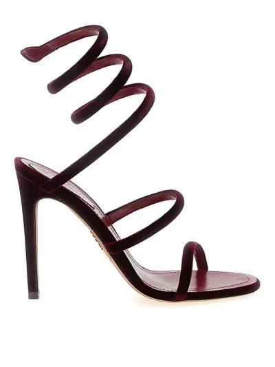 René Caovilla Spiral Design Velvet Heels With Ankle Wrap In Burgundy