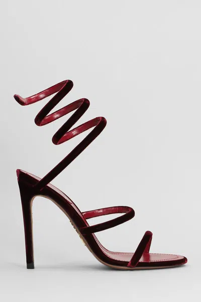 René Caovilla Cleo  Sandals In Red