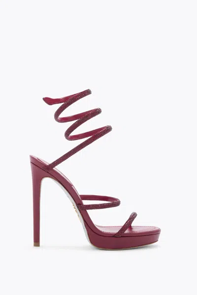 René Caovilla Cleo Wine Platform Sandal 120